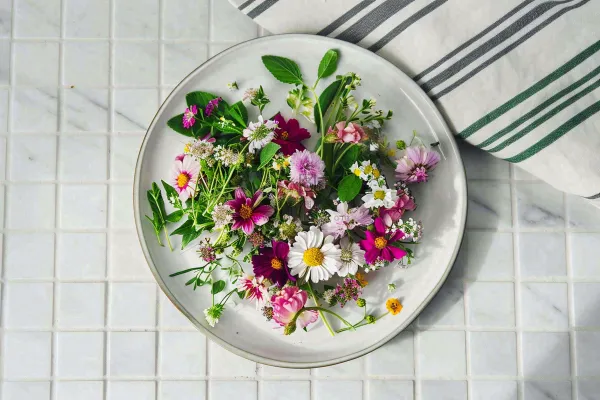 鲜花彩色花朵碟子摆盘简约摄影图 鲜花彩色花朵碟子摆盘简约摄影图