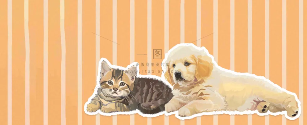 猫狗宠物店宣传卡通插画背景 猫狗宠物店宣传卡通插画背景