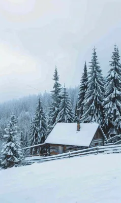 冬天寒冷白雪结冰大寒摄影图