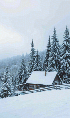 冬天寒冷白雪结冰大寒摄影图 冬天寒冷白雪结冰大寒摄影图