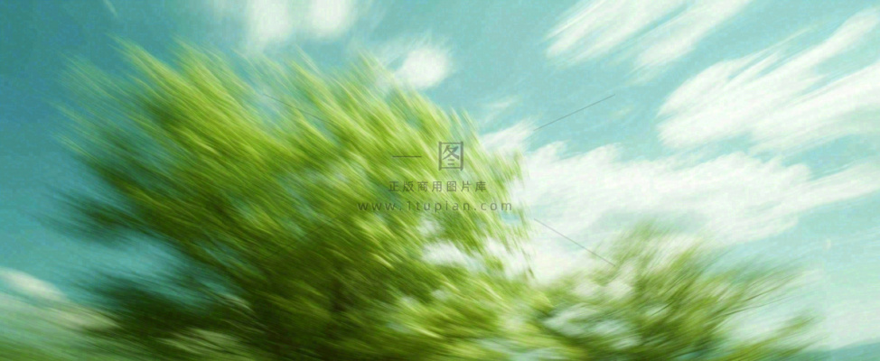 高山模糊绿树植物光影，大自然摄影图