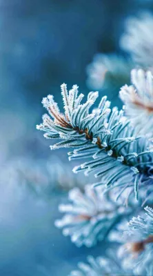 冬天寒冷白雪结冰大寒摄影图 冬天寒冷白雪结冰大寒摄影图