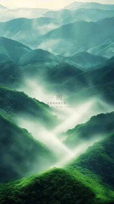 中国风高山绿植森林丛林,阳光蓝天白云,户外 中国风高山绿植森林丛林,阳光蓝天白云,户外