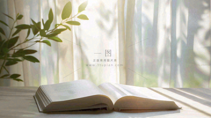 阳光下翻开的书本知识阅读世界读书日摄影图