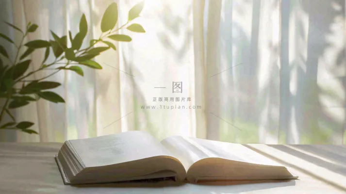 阳光下翻开的书本知识阅读世界读书日摄影图
