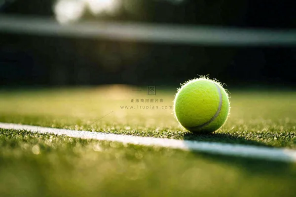 网球馆草地上的网球摄影图