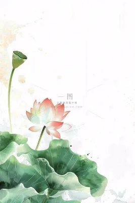 夏天荷花荷叶清凉小清新淡雅立夏夏至暑插画背景 夏天荷花荷叶清凉小清新淡雅立夏夏至暑插画背景