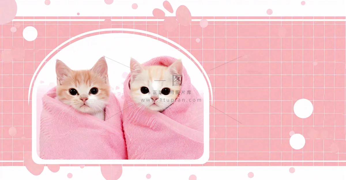 猫狗宠物店宣传卡通插画背景