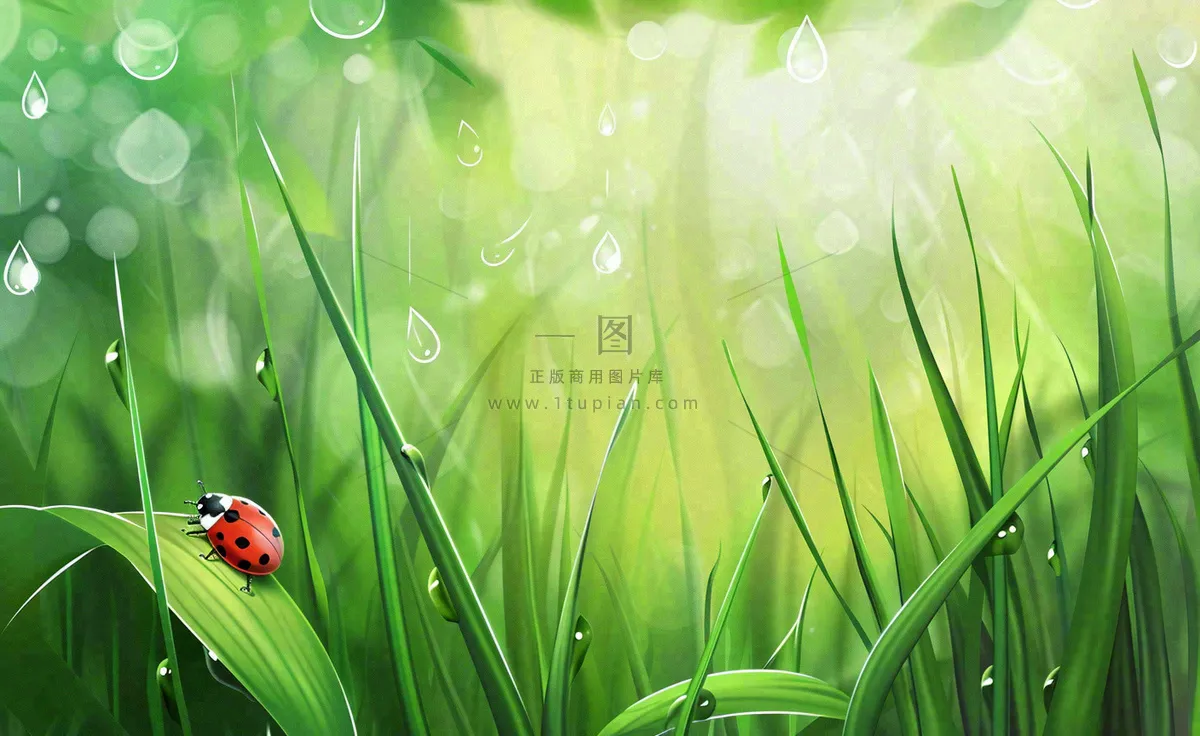 惊蛰雨水谷雨春天瓢虫昆虫绿色嫩草下雨天卡通插画背景