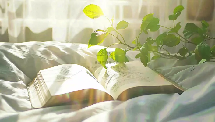阳光下翻开的书本知识阅读世界读书日摄影图