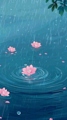 雨天雨滴低落水面泛起涟漪粉色花朵雨水谷雨寒露背景