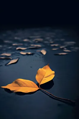 蓝色大气秋叶简约背景 蓝色大气秋叶简约背景