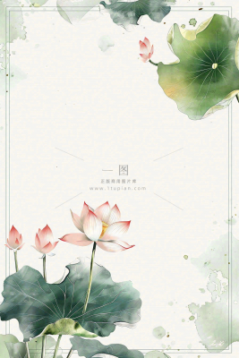 夏天荷花荷叶清凉小清新淡雅小暑大暑处暑插画背景