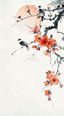 秋天凄冷树枝鸟儿花国风插画立秋白露寒露秋分背景 秋天凄冷树枝鸟儿花国风插画立秋白露寒露秋分背景