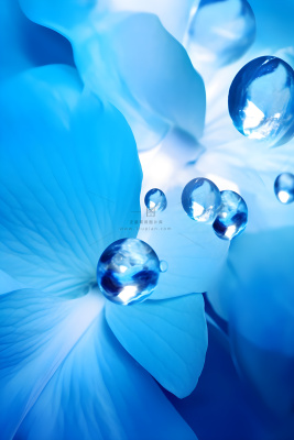 清新露珠蓝白色背景 清新露珠蓝白色背景