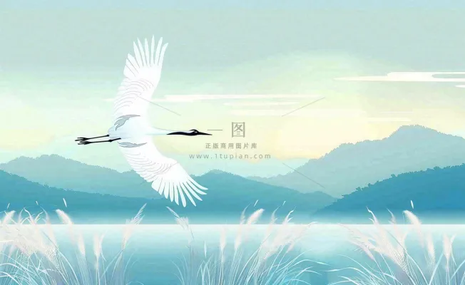 白鹭齐飞天水一色山水画芦苇荡清冷白露寒露插画背景