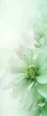 白色清新花朵朦胧唯美意境,鲜花摄影图 白色清新花朵朦胧唯美意境,鲜花摄影图