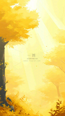 黄色树枝秋天秋叶落日阳光手绘插画，秋分