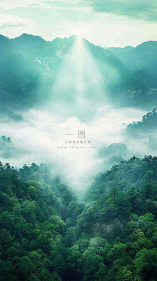 中国风高山绿植森林丛林，阳光蓝天白云，户外