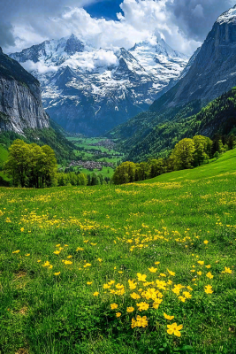 高原高山雪山风光风景摄影图