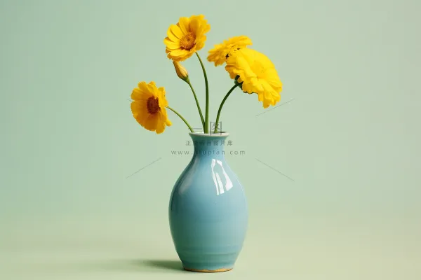 花瓶里的菊花小雏菊橘黄色家居摄影图