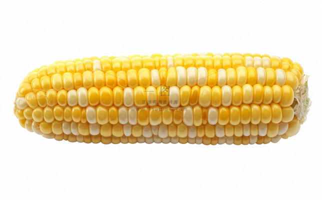 玉米蔬菜生鲜摄影图