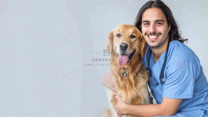 宠物医院猫狗生病救治摄影图 宠物医院猫狗生病救治摄影图