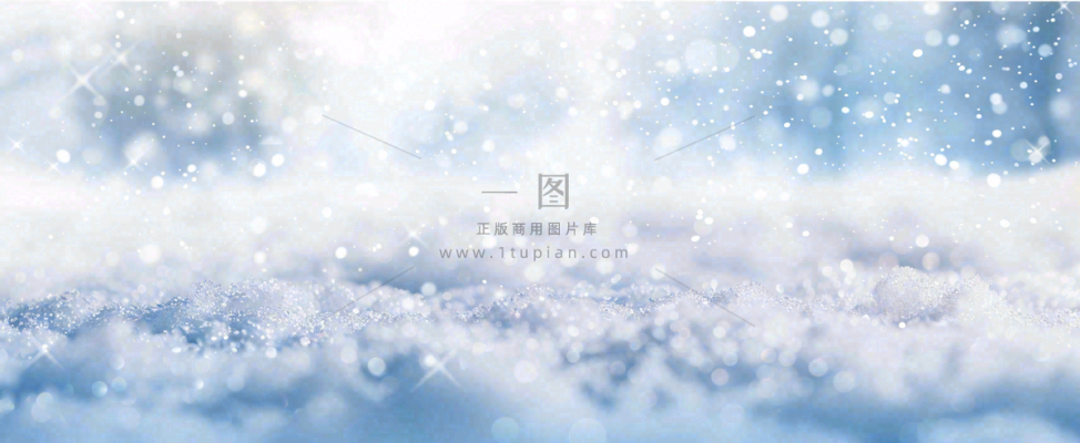 冬天白色闪耀的雪花寒冷唯美小寒大寒立冬大雪摄影图 冬天白色闪耀的雪花寒冷唯美小寒大寒立冬大雪摄影图