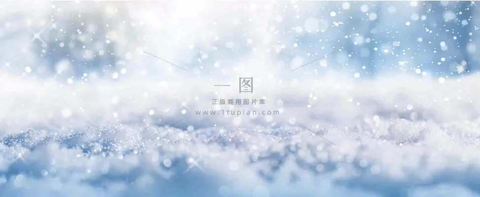 冬天白色闪耀的雪花寒冷唯美小寒大寒立冬大雪摄影图 冬天白色闪耀的雪花寒冷唯美小寒大寒立冬大雪摄影图