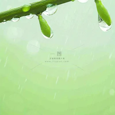 清新绿色春天绿芽叶子雨水露珠,春分谷雨摄影图 清新绿色春天绿芽叶子雨水露珠,春分谷雨摄影图