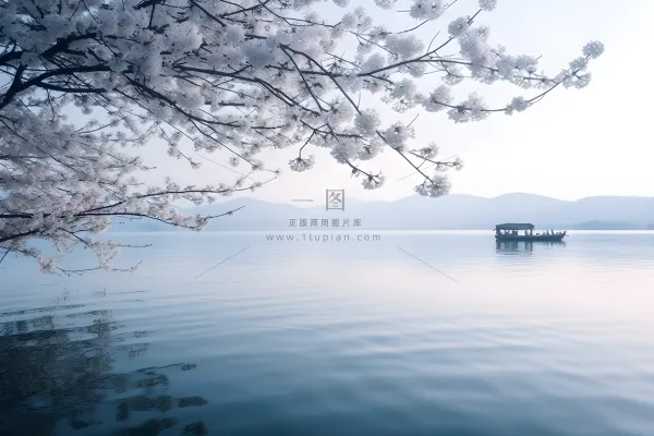 湖水很平静，上面有树枝和花朵，还有一艘船插画背景
