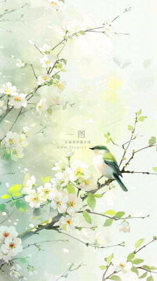 春天繁华盛开树枝小鸟春意小清新唯美立春惊蛰插画背景