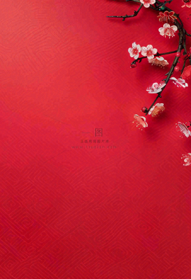 红色国风背景梅花花朵插画元旦背景