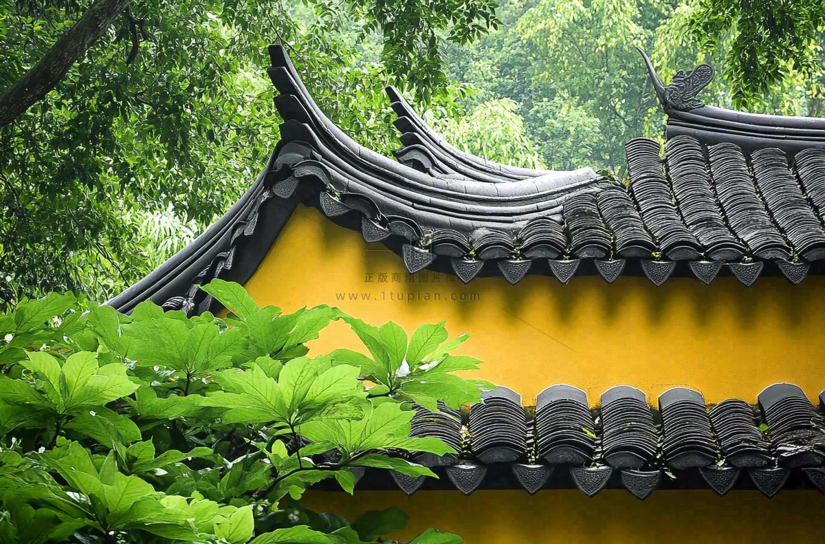 中式庭院屋檐绿植环境摄影图