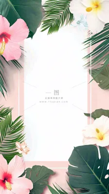 粉色鲜花绿植清新插画,书信书签邀请函 粉色鲜花绿植清新插画,书信书签邀请函