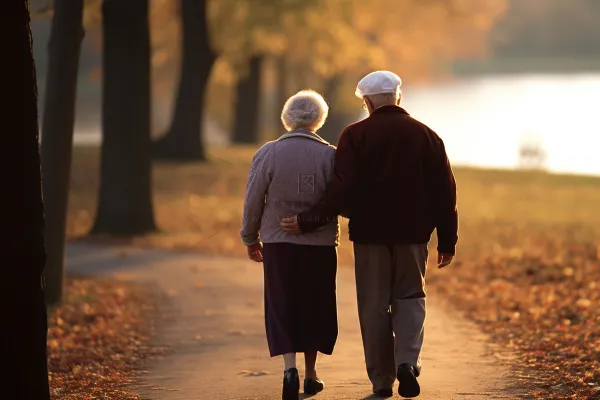 落日老人意境背景