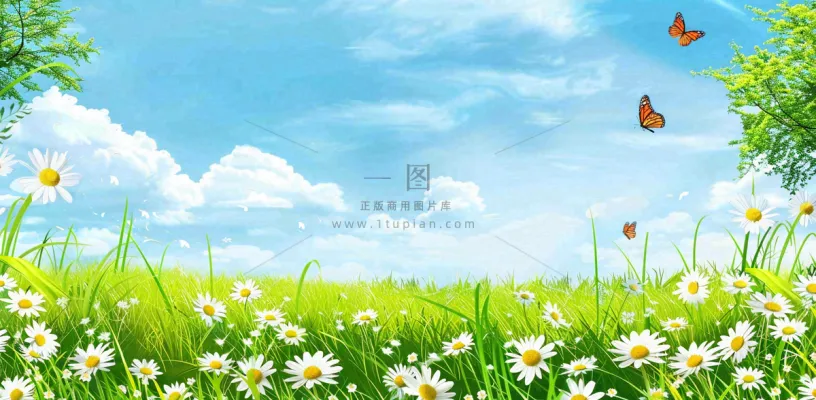 高空抛物小区物业安全教育背景