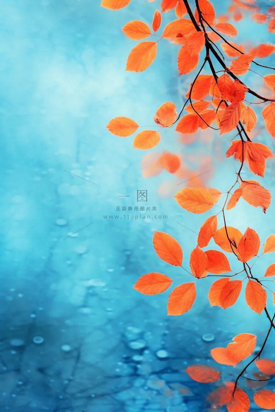 红叶大气简约蓝色背景