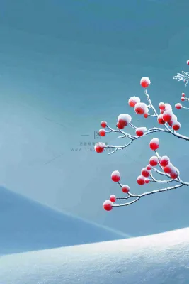 冬天雪山白霜红色果实覆盆子霜降寒露背景