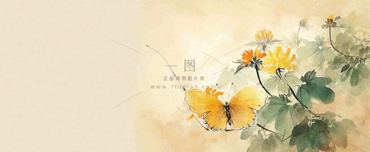温馨纹理橙色花朵鲜花蝴蝶意境唯美，中国风