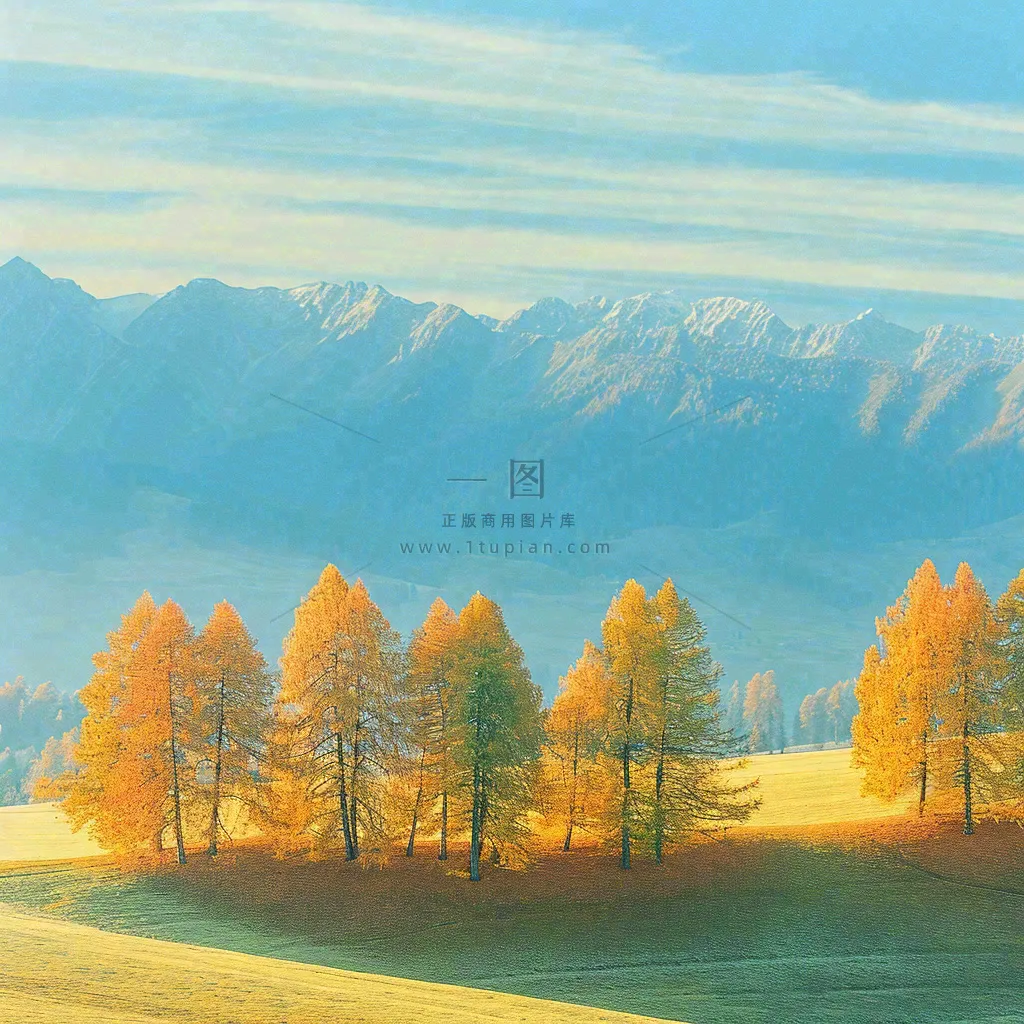 秋天黄色的树叶和草地肃杀的气氛，立秋，秋分