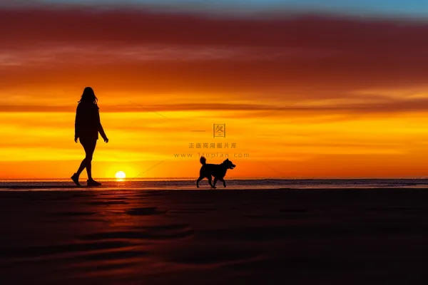 夕阳落日下遛狗的人海边沙滩晚霞摄影图