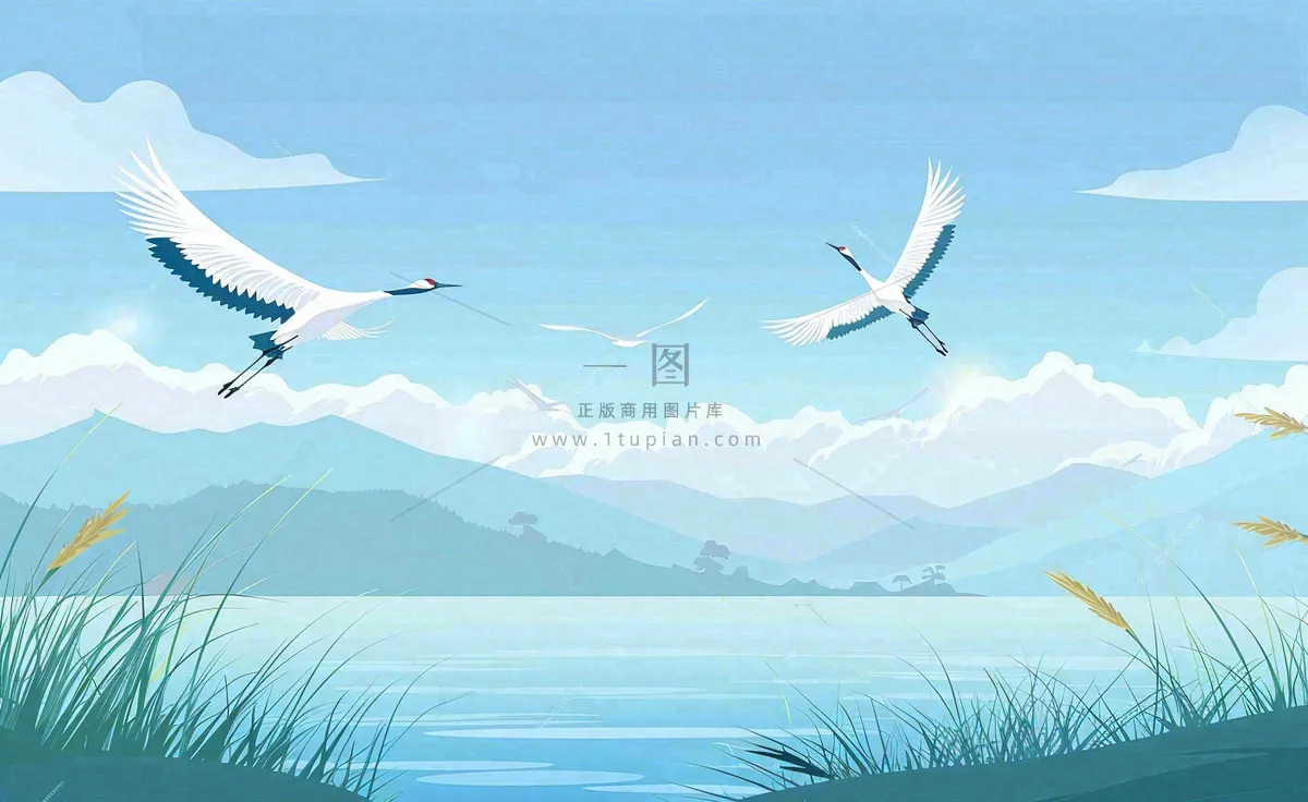 白露芦苇山水飞鹤插画蓝色唯美卡通插画背景
