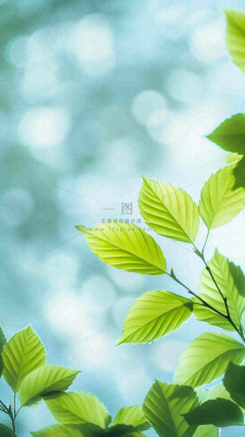 阳光明媚春天春意盎然嫩草,发芽,春分,立春摄影图 阳光明媚春天春意盎然嫩草,发芽,春分,立春摄影图