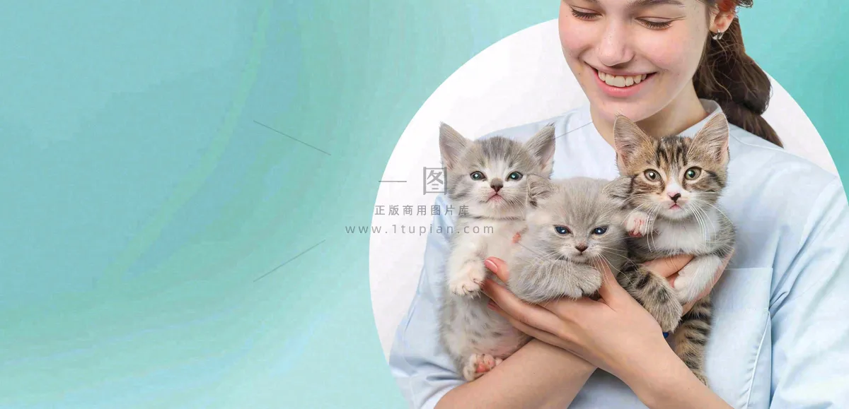 宠物医院猫狗生病救治摄影图