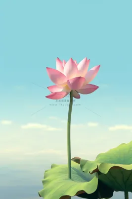 清新阳光荷花荷叶天空白云背景