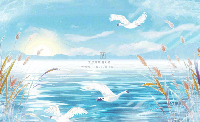 唯美白露插画白鹭动物风景秋天景色寒冷清冷芦苇丛寒露背景