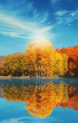 秋天蓝天阳光秋叶树木湖面水中倒影，秋分寒露摄影图
