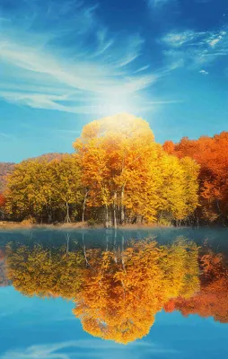 秋天蓝天阳光秋叶树木湖面水中倒影，秋分寒露摄影图