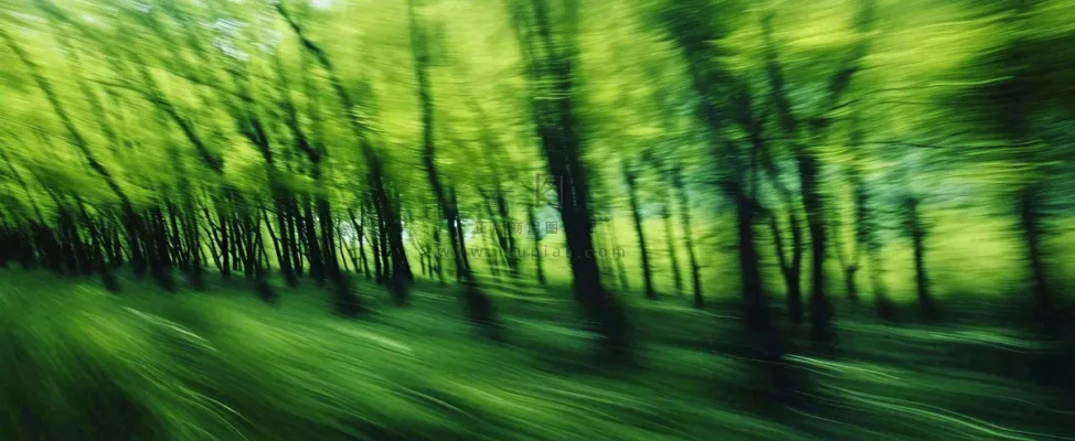 绿色树木虚幻树林摄影图